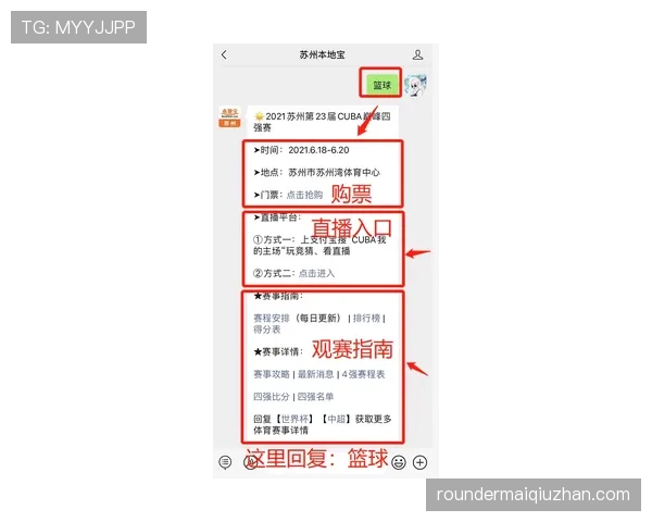 中断规则:哪些情况必须暂停比赛,如何判定与重启